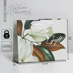 Цена за 2 шт. Пакет подарочный ламинированный, упаковка, «Подарок» 22×17.5×8 см