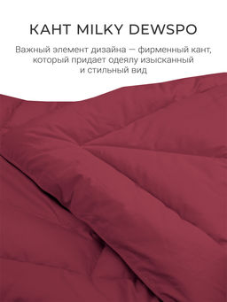 Одеяло "Cloud Cool Wine" 175х200см всесезонное 200г/м2 ЕС-7067