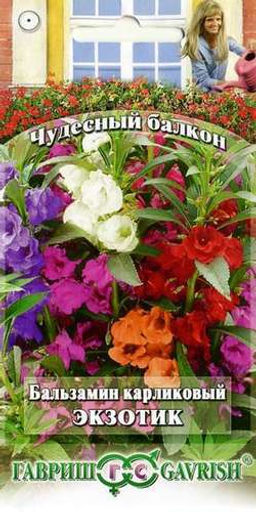 Экзотик бальзамин карликовый 0,1г (г)