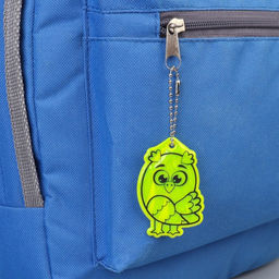 Цена за 6 шт. Светоотражающий элемент «Сова», двусторонний, 4,2 × 6 см, цвет МИКС