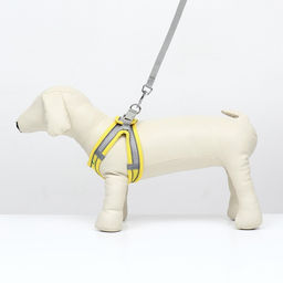 Комплект с мягкой шлейкой, размер XXS, поводок 150 х 1,5 см, ОГ 28-30 см,ОШ 24-26 см, жёлтый - Пижон фото 2