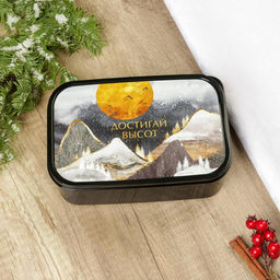 Ланч - бокс новогодний Достигай высот, 1.2 л