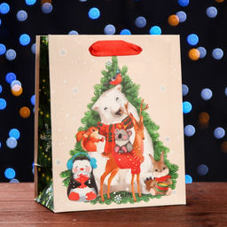 Пакет подарочный Принимайте поздравления, 18 х 22,3 х 10 см