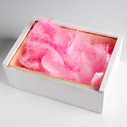 Наполнитель из перьев для шаров и подарков Нежность , 15 х 11 см - Дарите счастье фото 3