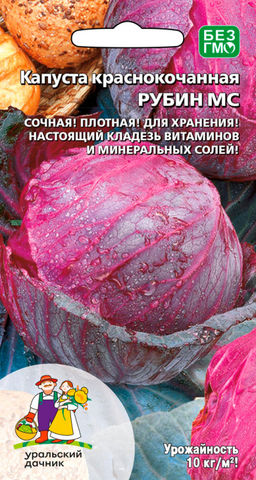 Капуста краснокочанная РУБИН МС  Идеальна для хранения! Сочная, хрустящая и плотная! Масса 1,5-2 кг!