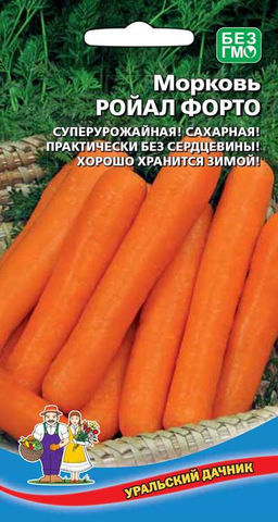 Морковь РОЯЛ ФОРТО Суперурожайная! Сахарная! Практически без сердцевины! Хорошо хранится зимой! - Уральский дачник фото 2