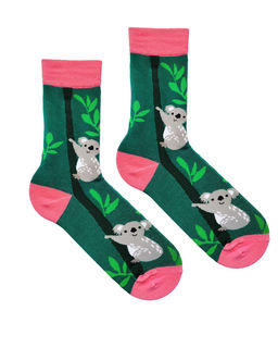 Носки р.35-40 Cute Animals Коала - Krumpy фото 2