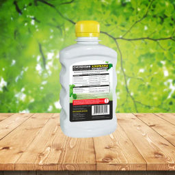 БИО-комплекс Суспензия Хлореллы Концентрат ( 500 мл)