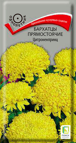 Бархатцы прямостоячие (Тагетес прямостоячий) Цитроненпринц (ЦВ) (1) 0,4гр. - Поиск фото 2