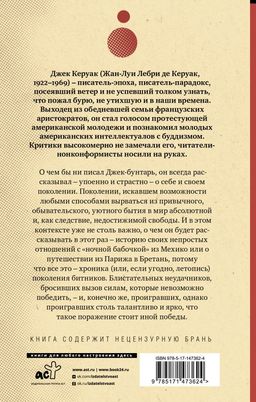 Одинокий странник. Тристесса. Сатори в Париже