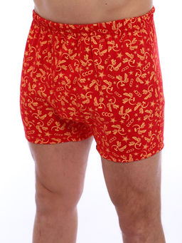 Трусы-боксеры, модель 212, трикотаж (46 размер, Ностальжи)