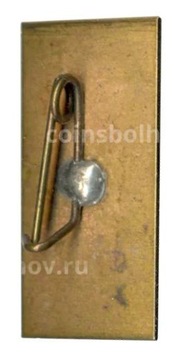 Значок Карпаты