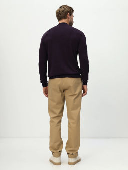 Джемпер мужской GREG G122-CT 180194 (фиолет)