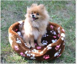 Лежанка Заря ЛО2М открытый мех