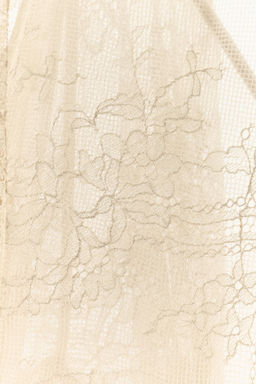 ZW COLLECTION LIMITED EDITION LACE DRESS WITH RUFFLES