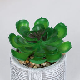 Цветочная композиция Кактус / WER-22 /уп 12/192/ микс - Галеонтрейд фото 3