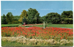 Открытка Минск.Ботанический сад Академии наук БССР