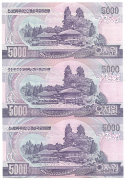 Банкнота 5000 вон 2006 года Северная Корея Лист из трех банкнот