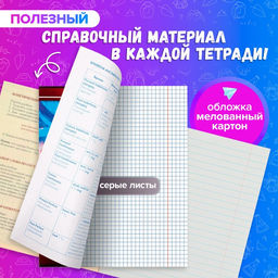 Комплект предметных тетрадей 48 листов Металл, 10 предметов, со справочным материалом, обложка мелованный картон, блок №2, белизна 75% (серые листы) - Calligrata фото 7