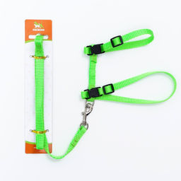 Комплект для кошек, ширина 1 см, ОШ 16,5-27 см, ОГ 21-35 см, поводок 120 см, зелёный - Пижон фото 8