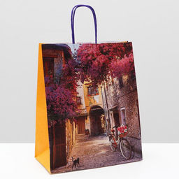 Цена за 10 шт. Пакет крафт Дворик, 22 х 12 х 27 см