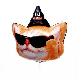 Воздушные шары фольгированные 18" «Коты с днем рождения», 2 шт.