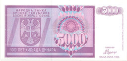 Банкнота 5000 динаров 1992 года Босния и Герцеговина