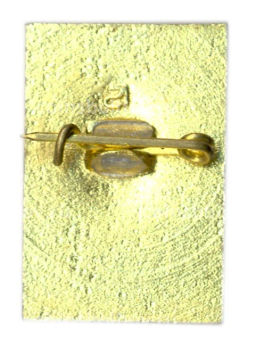 Значок Петродворец