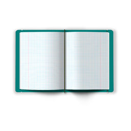 Светоч ТЕТ48-001 Тетрадь общая в съёмной пластик. обложке на резинке, тиснение фольгой, 500 мкм., A5 48 л. папка 65 г/кв.м , белизна 100 % 4 шт. клетка 000825 Тёмно-бирюзовая  фото 4