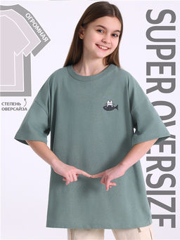 футболка 1ДДФК4569001