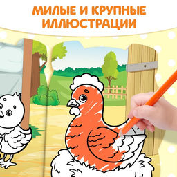 Раскраска с наклейками «Свинка», 12 стр.