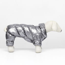 Комбинезон Блеск, размер XS (ДС 19 см, ОГ 28, ОШ 19 см, до 3 кг), серебряный 974874 - Simaland фото 2