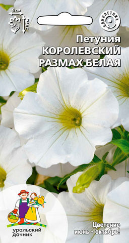 Петуния КОРОЛЕВСКИЙ РАЗМАХ БЕЛАЯ
