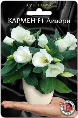 Эустома горшечная Кармен F1 Айвори
