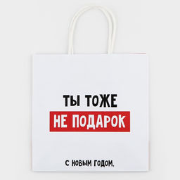 Пакет подарочный новогодний «Ты тоже не подарок», 22×22×11 см