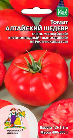 Томат АЛТАЙСКИЙ ШЕДЕВР Очень урожайный! Крупноплодный! Выносливый! Не растрескивается! Алтайская селекция!
