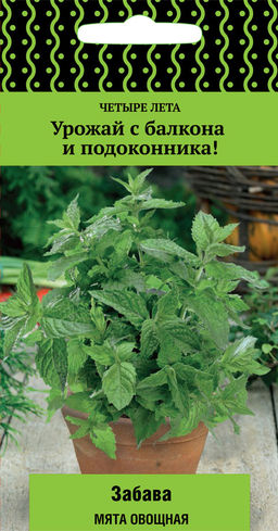 Мята овощная Забава (сер.Четыре лета) (А) 20шт - Поиск фото 2