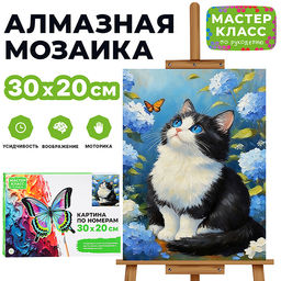 Картина по номерам "Синеглазка" 30х20 см.
