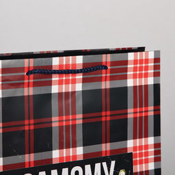 Цена за 2 шт. Пакет подарочный ламинированный, упаковка, Real strong, L 28?38?9 см