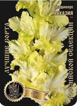 Гладиолус Абхазия 503,Фотин 1 р-р 7шт (Ф)