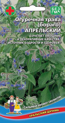 Бораго АПРЕЛЬСКИЙ Яркий аромат свежести! Сочетает овощные и декоративные качества! Источник бодрости и здоровья!