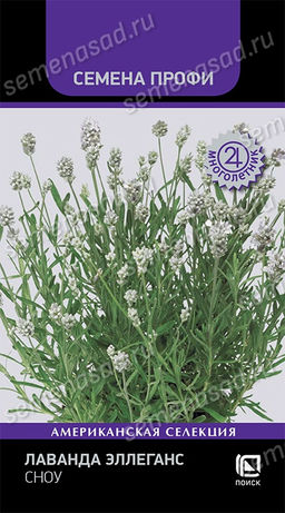 Лаванда Эллеганс Сноу (Семена Профи) (ЦВ) ("М) 10 шт
