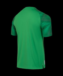 Футболка вратарская JOGEL NATIONAL PerFormDRY GK Jersey, зеленый  фото 3