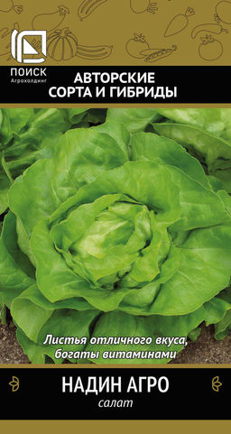 Салат Надин Агро (А) (ЦВ) 1гр. - Поиск фото 2
