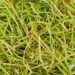 Blumentag BDW-80 Декоративный наполнитель Трава MIX 80 г  5 г СК/Уценка светло-зеленый