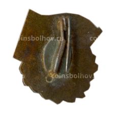 Значок ГДР школьный