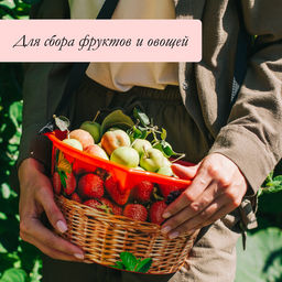 Цена за 2 шт. Ёмкость для сбора ягод, 3 л, «Малина»