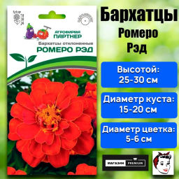 Бархатцы отклоненные Ромеро Рэд