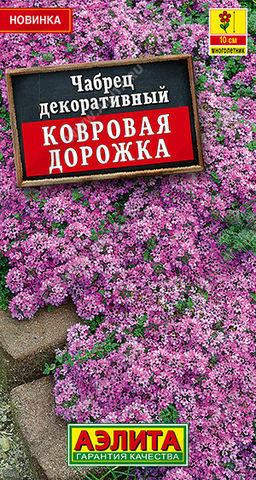 Чабрец декоративный Ковровая дорожка