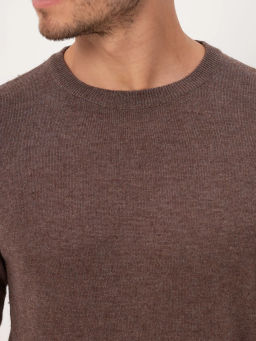 Джемпер мужской GREG G121-DA181 табак